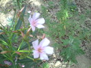 PICT0010