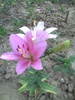 PICT0011
