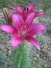 PICT0014