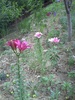 PICT0019
