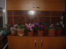 20.06.2010