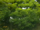 Fotografie2377