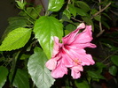 SDC13582