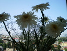 P3210215