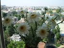 P3210216