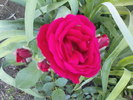 DSC04029