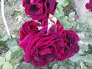 DSC04065