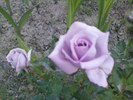 DSC04086