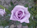 DSC04087