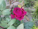 DSC04166