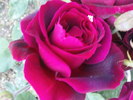 DSC04182