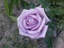 DSC04293
