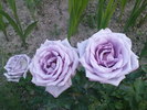 DSC04406