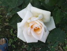 DSC04491