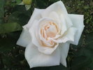 DSC04492