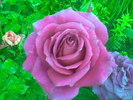 Imag029