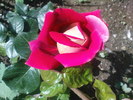 DSC02948
