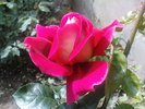DSC02965