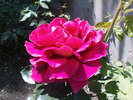DSC03091