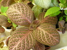 P1270646
