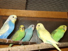 DSC03210