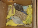 DSC03213