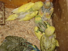 DSC03218