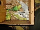 DSC03224
