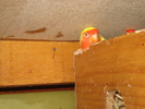 DSC03257