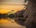 d_Sunrise at Tidal Basin