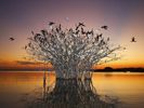 pantanal-birds-brazil_19477_990x742