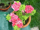 DSC05852