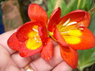 DSC05858