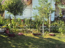 DSC02604
