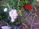 Image0357