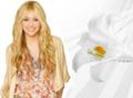 HannaH-hannah-montana-12978559-120-88