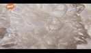 Bella-s-Power-h2o-just-add-water-13114270-576-336