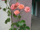 P1020197