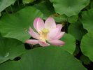 P1020206