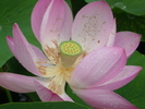 P1020207