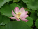 P1020208
