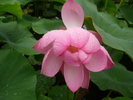 P1020209