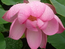 P1020210
