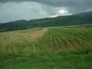 P1020278 LAN CU PORUMB