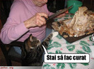 poze-amuzante-motanul-vrea-sa-faca-curat-pe-masa