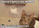 poze-amuzante-pisica-prinsa