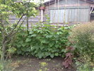 240620104556