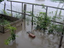 inundatii - 22.06.2010 017