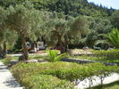 P1010523