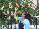 P1010603DATURA ROZ